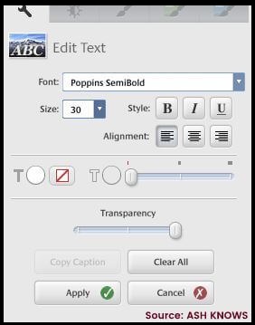 Picasa Text Editing Tool - ASH KNOWS