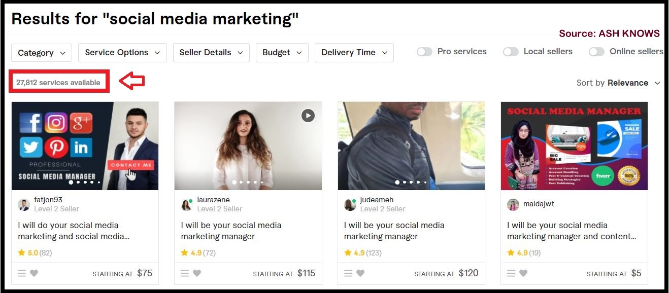 Social Media Marketing Fiverr - ASH KNOWS
